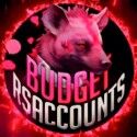 BudgetRSaccounts